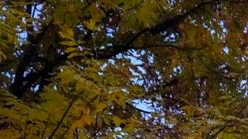 Venezuela cierra embajada en Noruega tras el Premio Nobel de la Paz a la opositora María Corina Machado