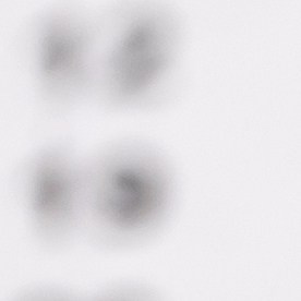 pago-seguro-social-jubilados-noviembre-2025