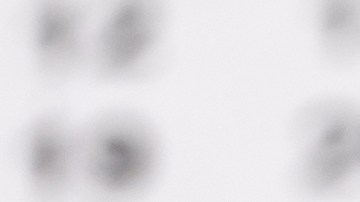 pago-seguro-social-jubilados-noviembre-2025