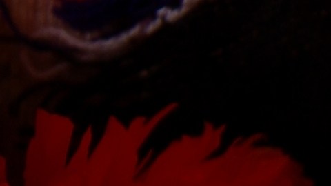 El pan de muertos es un ícono de la celebración del Día de Muertos en México.