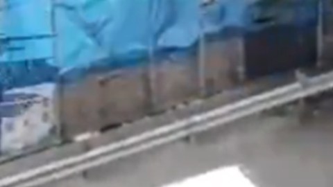 Policía de Nueva York capturó a dos sujetos tras una persecución de película en el Bronx