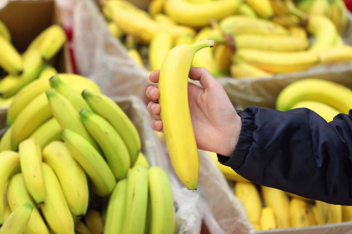 La química vegetal: así se frena la maduración de los plátanos