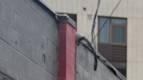 Jueza federal bloquea despliegue de la Guardia Nacional en Portland ordenado por Trump