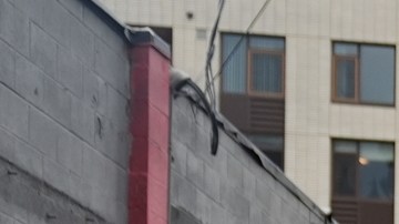 Jueza federal bloquea despliegue de la Guardia Nacional en Portland ordenado por Trump