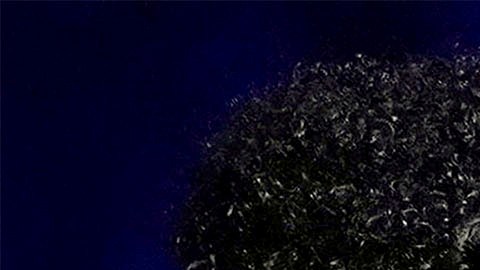 Bad Bunny encabeza la lista de nominados con 27 menciones, seguido por Karol G, con 10 y Peso Pluma, quien compite en 9 categorías.