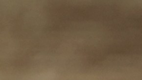 Los quesos fueron distribuidos en cuatro estados del país.