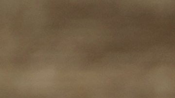 Los quesos fueron distribuidos en cuatro estados del país.