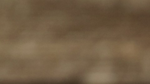 Los quesos fueron distribuidos en cuatro estados del país.