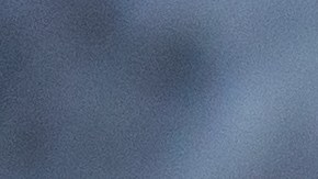 Los rollitos tienen fecha de vencimiento mayo de 2027.