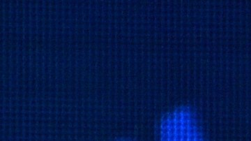 Rosie O'Donnell y Donald Trump se han atacado mutuamente desde hace varios años.