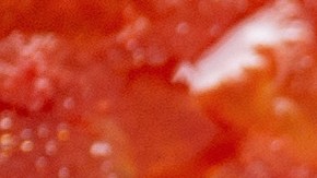 Una chef revela sus mejores secretos para hacer una salsa de tomate base.