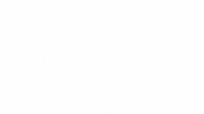 Juntos pueden abordar proyectos equilibrados.