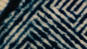 Impacto en el Seguro Social por cierre del gobierno