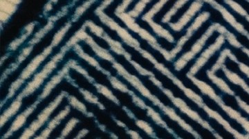 Impacto en el Seguro Social por cierre del gobierno