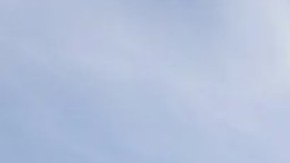 La medida no logró alcanzar el umbral de 60 votos necesarios.