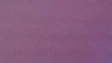 El especial también incluirá nuevas interpretaciones de "Antología", "Sueños Blancos", "Día de Enero" y "La Pared".