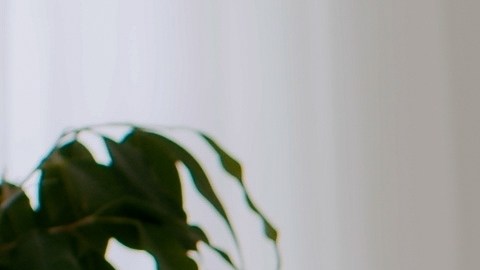 Hay que revisar los hábitos de consumo de contenidos digitales.