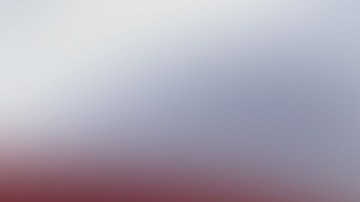 Símbolo que identifica al Partido Republicano.