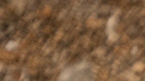 El turismo se encamina hacia una era que combina el respeto por los destinos con experiencias auténticas.