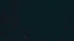 Stylish,Young,Man,In,A,Suit,And,Bow,Tie.,Business