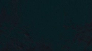 Stylish,Young,Man,In,A,Suit,And,Bow,Tie.,Business