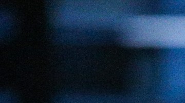 Sia solicitó el divorcio de Bernard en marzo de este año.