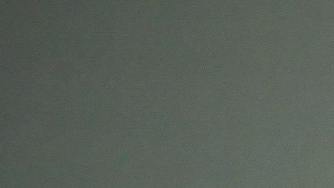 Sydney Sweeney también sorprendió al lucir su nuevo corte bob.