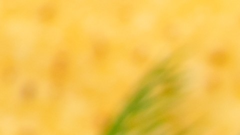 Los tacos crujientes se distribuyeron en 28 países.