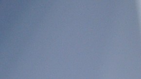 Tras conocerse la donación de Swift, miles de fanáticos de la cantante se sumaron a la causa.