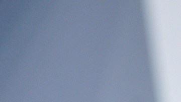 Tras conocerse la donación de Swift, miles de fanáticos de la cantante se sumaron a la causa.