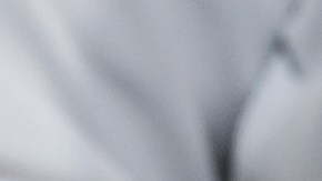 Tribunal Supremo de EE.UU. autoriza a Trump a retirar el TPS a más de 600,000 migrantes venezolanos