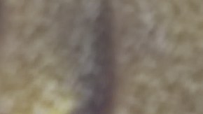 walmart-black-friday-mediados-de-noviembre