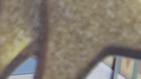 walmart-black-friday-mediados-de-noviembre