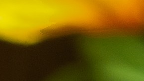 walmart-oferta-cena-accion-de-gracias-2025