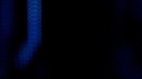 Lionel Messi en el America Business Forum.