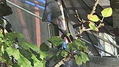 En centros electorales del Alto Manhattan y El Bronx no se generaron filas, pero no hubo pausas de sufragantes.