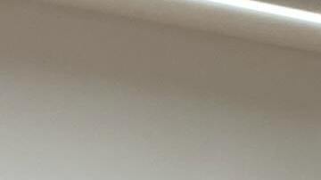 Entrevista a Rafael Maldonado de Guevara