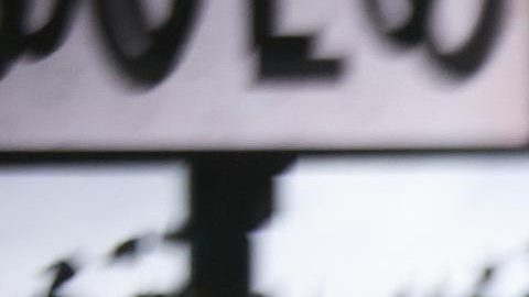 El jugador portugués Gonçalo Ramos celebra tras marcar un gol contra Armenia durante el partido de clasificación para la Copa Mundial de la FIFA 26 disputado en el Estadio Dragão, en Oporto, Portugal, el 16 de noviembre de 2025.