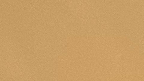 El alcalde electo Zohran Mamdani promete defender a la comundiad inmigrante de los abusos de ICE