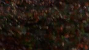 Agentes del orden se encuentran cerca del lugar donde dos miembros de la Guardia Nacional de Virginia Occidental fueron baleados en Washington, D.C., EE. UU., el 26 de noviembre de 2025.