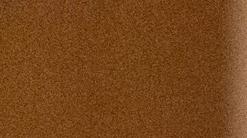 El nuevo costo de los trámites entrará en vigor a partir del 1 de enero de 2026.