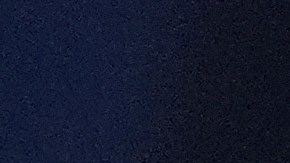 La ONG también acusa a los funcionarios de estar atentando contra el derecho a la libertad de expresión.