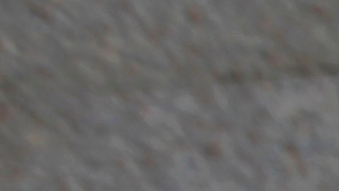 También conocida como Hermandad Musulmana son responsables de crear Hamás y Al Qaeda.