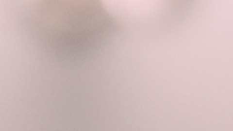 Entre los legisladores está el senador Mark Kelly de Arizona.