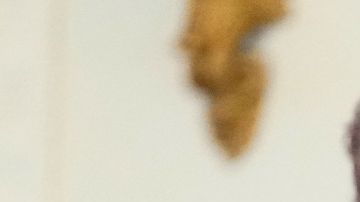 Melania hizo un llamado para que se unan a su esfuerzo y ofrecer educación académica a niños de hogares de acogida.