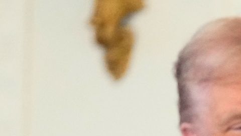 Melania hizo un llamado para que se unan a su esfuerzo y ofrecer educación académica a niños de hogares de acogida.