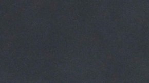 Los funcionarios solicitaron que se eliminará la opción "X" para definir sexo.