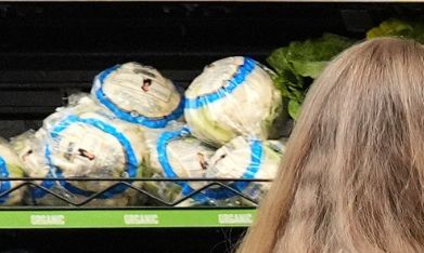 El Senado aprobó un proyecto de ley para poner fin al cierre del Gobierno.