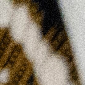 Mientras respondía, Trump mostraba una fotografía de supuestos afganos en un avión.