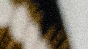 Mientras respondía, Trump mostraba una fotografía de supuestos afganos en un avión.